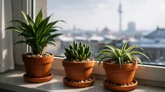 Pflegeleichte Zimmerpflanzen: 3 robuste Klassiker für alle, die das Gießen vergessen