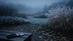 Herbstschnitt im Garten: Was du jetzt schneiden darfst – und was besser bis Februar wartet