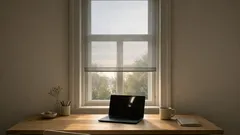 Screen-Rollos statt Gardinen: So filterst du Tageslicht und bekommst Sichtschutz am Tag