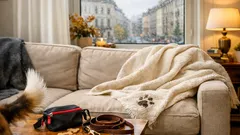 Darf der Hund aufs Sofa? Regeln, die wirklich funktionieren