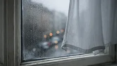 Kondenswasser am Fenster im Winter stoppen: So hilft Isolierfolie in Minuten
