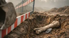 Elefantenknochen als Werkzeug: was ein 404.000 Jahre alter Fund bei Rom über unsere Vorfahren verrät