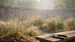 Patagonische Verbene überwintern: so klappt der Winterschutz im Beet