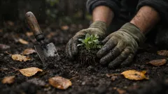 Stauden pflanzen im Oktober: so nutzt du die Herbstpflanzung für ein starkes Frühjahr